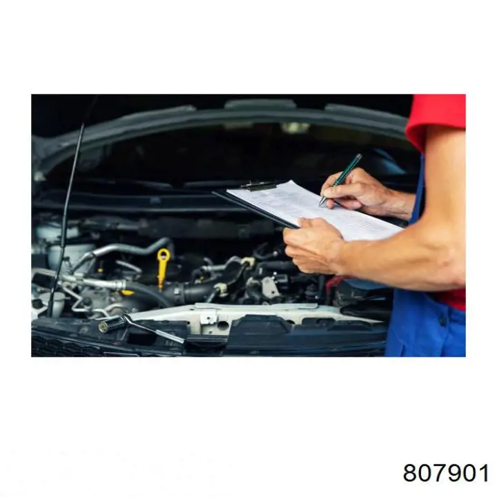 807901 Motul Fluido de freio