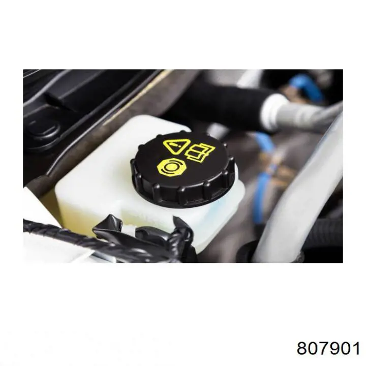 807901 Motul Fluido de freio