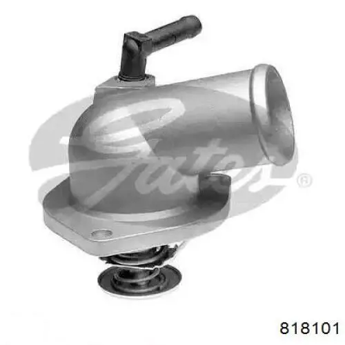 818101 Motul Fluido de esfriamento