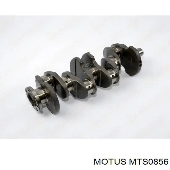 MTS0856 Motus Cambota de motor