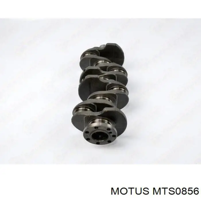 Compre MTS0856 Motus Cambota de motor