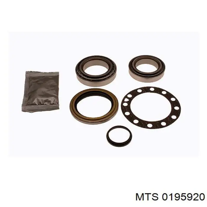 Compre 0195920 MTS Silenciador, parte traseira