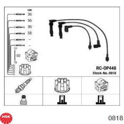 Compre 818 NGK Fios de alta voltagem, kit
