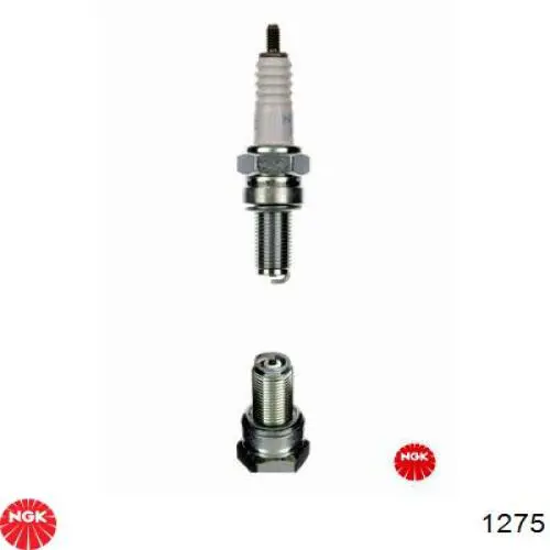 Compre 1275 NGK Vela de ignição