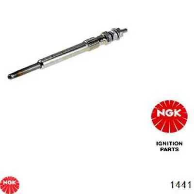 Compre 1441 NGK Vela de incandescência