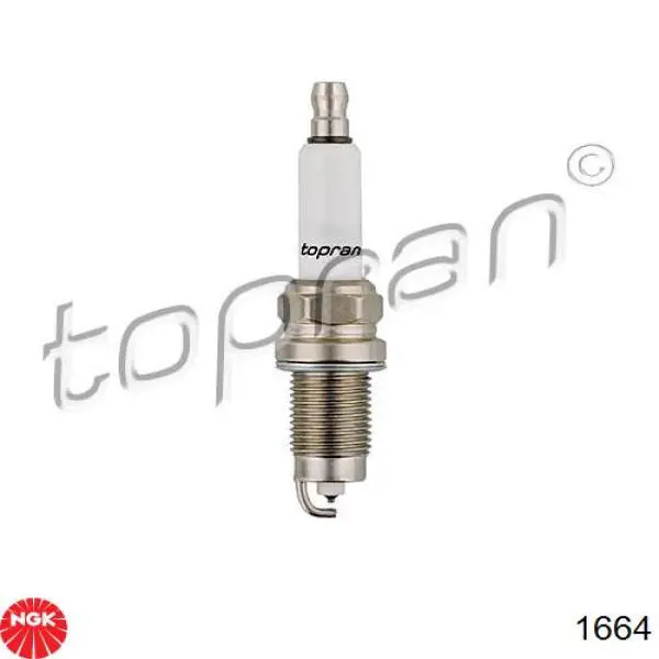 Compre 1664 NGK Vela de ignição