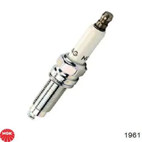 Compre 1961 NGK Vela de ignição