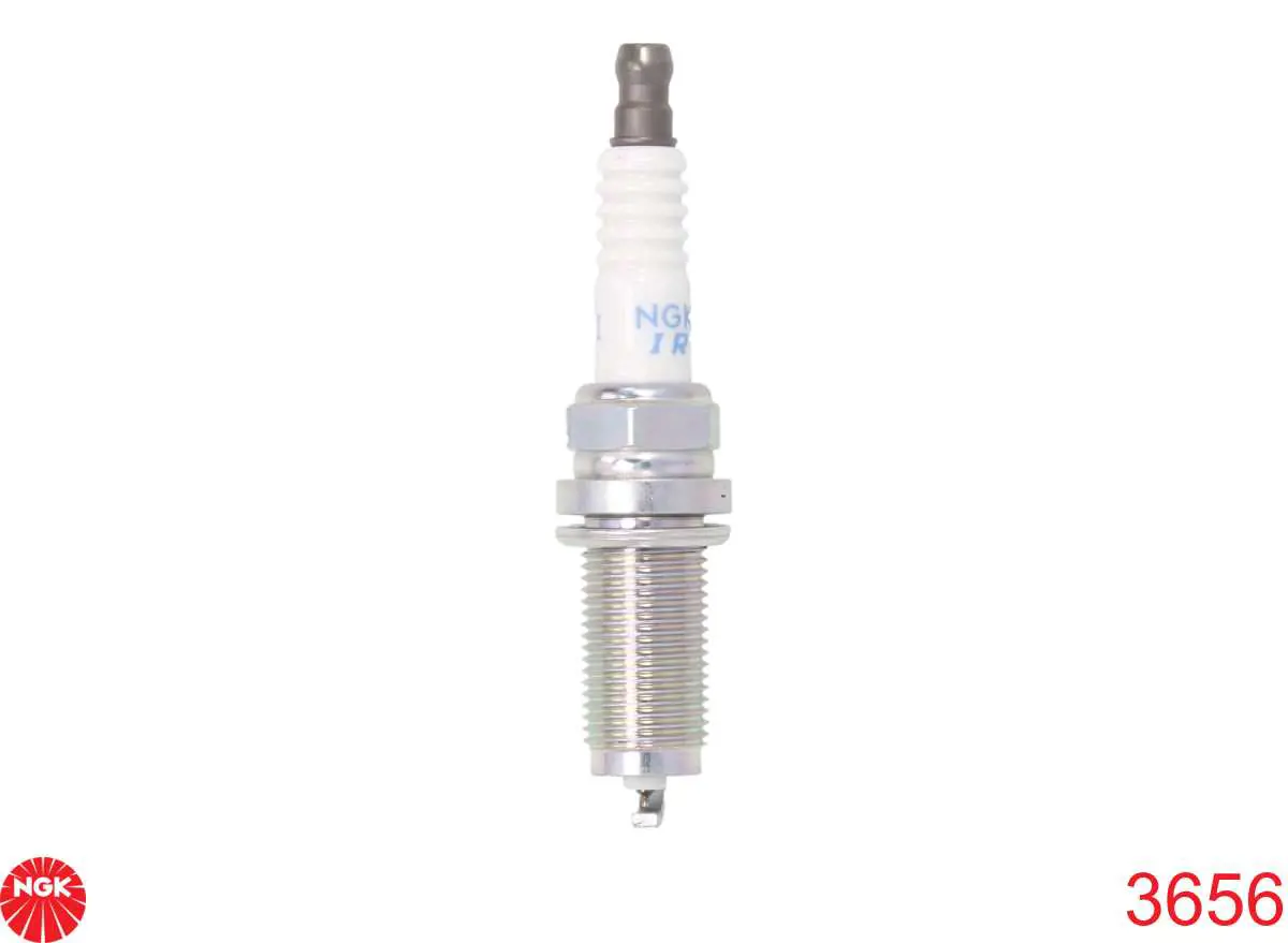 Compre 3656 NGK Vela de ignição