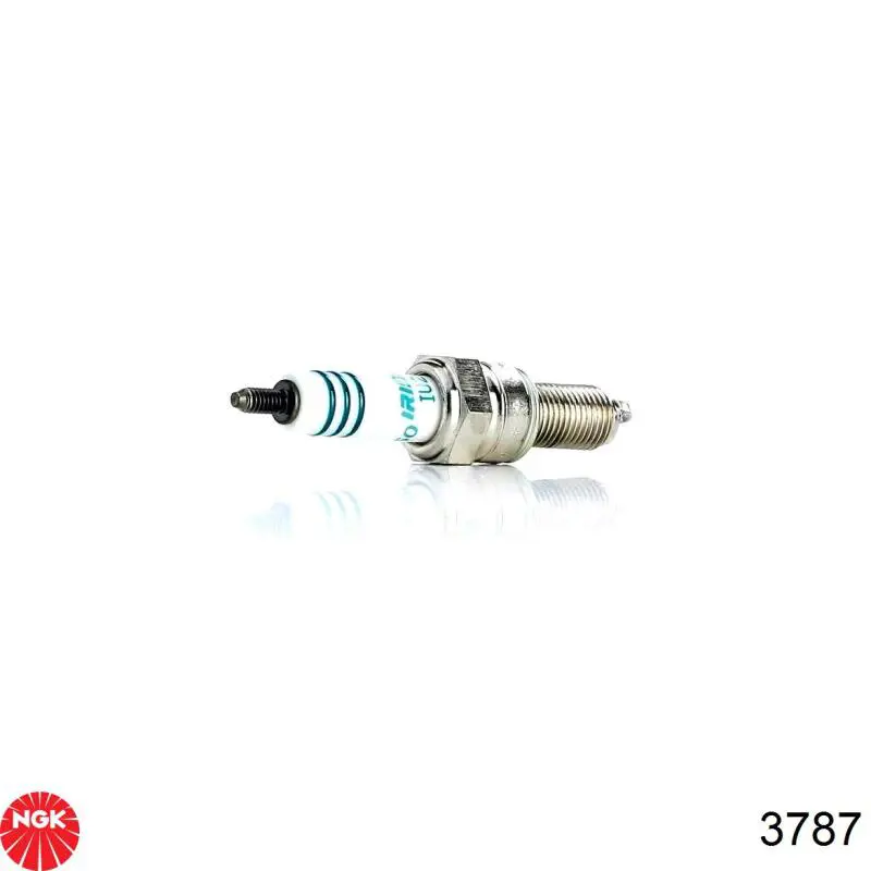 Compre 3787 NGK Vela de ignição