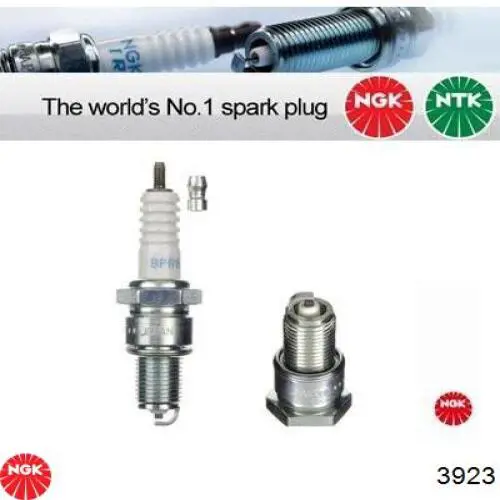 Compre 3923 NGK Vela de ignição
