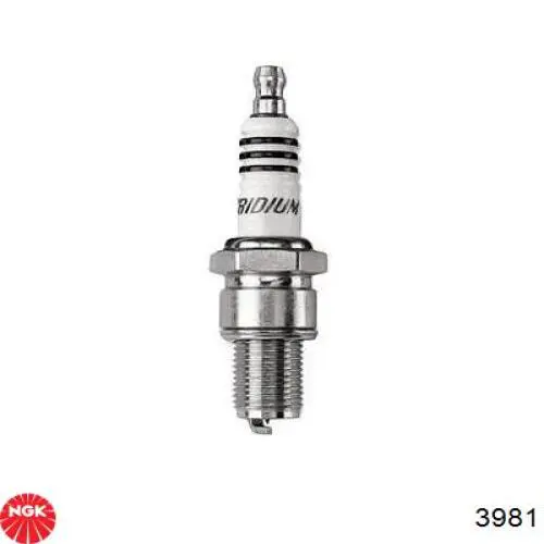 Compre 3981 NGK Vela de ignição