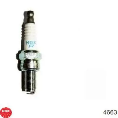 Vela de ignição NGK 4663 preço, a partir de 9,04 USD