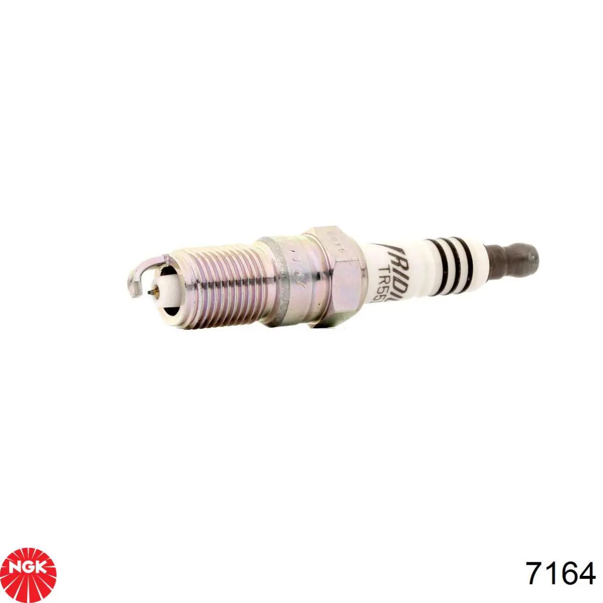 Compre 7164 NGK Vela de ignição
