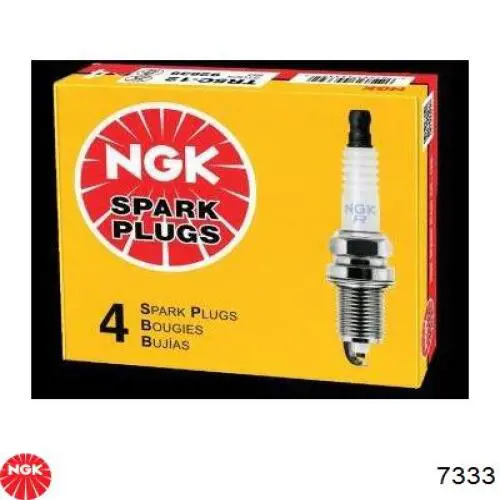 Compre 7333 NGK Vela de ignição