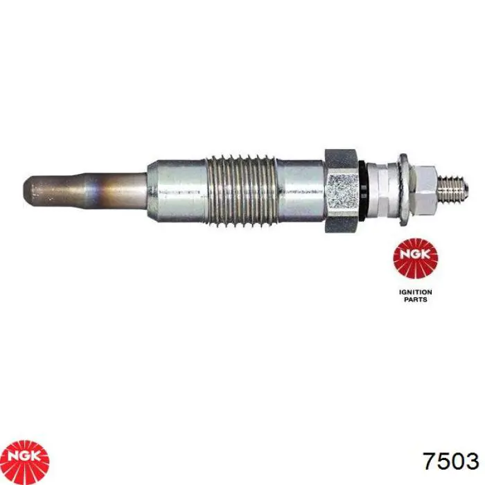 Vela de incandescência NGK 7503 preço, a partir de 10,19 USD