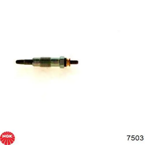 Compre 7503 NGK Vela de incandescência