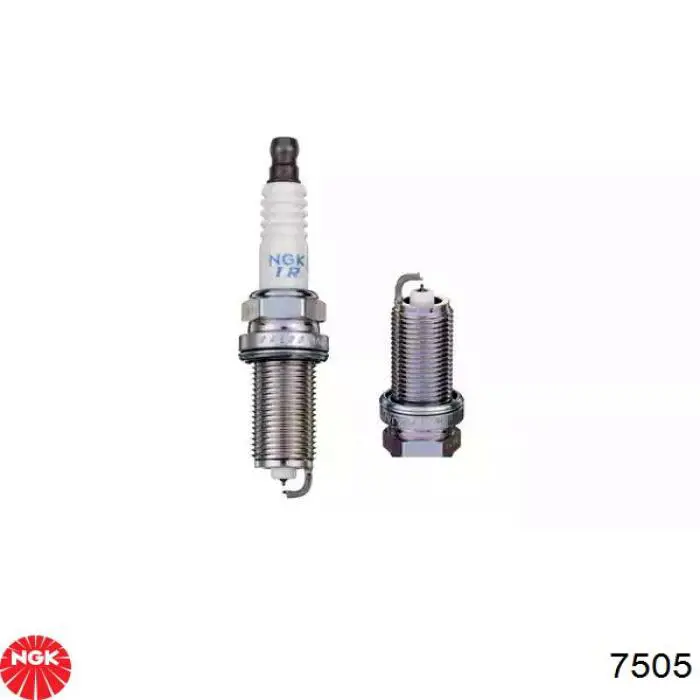 Vela de ignição NGK 7505 preço, a partir de 16,48 USD