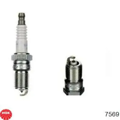 Compre 7569 NGK Vela de ignição