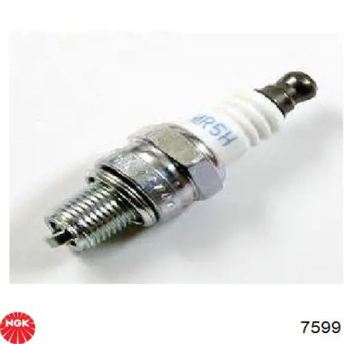 Compre 7599 NGK Vela de ignição