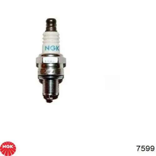 Compre 7599 NGK Vela de ignição