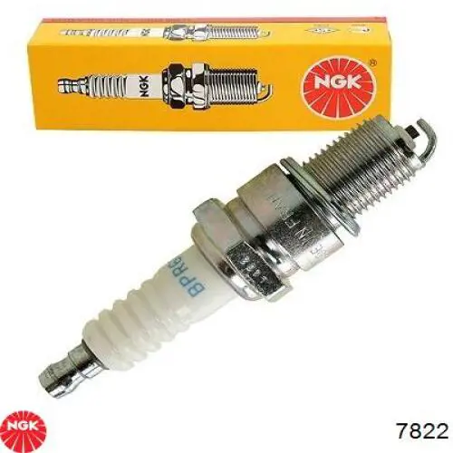 Compre 7822 NGK Vela de ignição