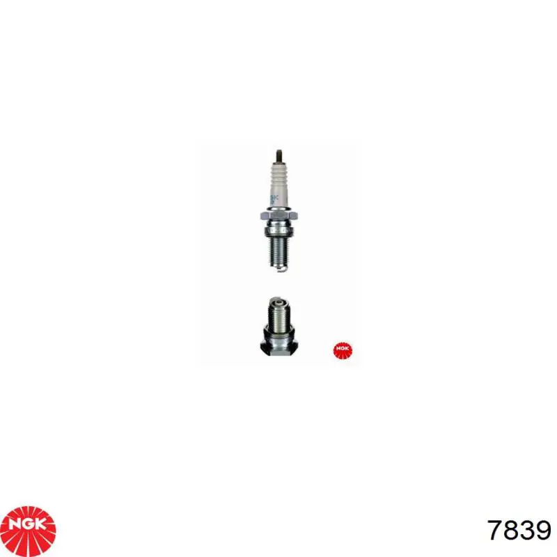 Compre 7839 NGK Vela de ignição
