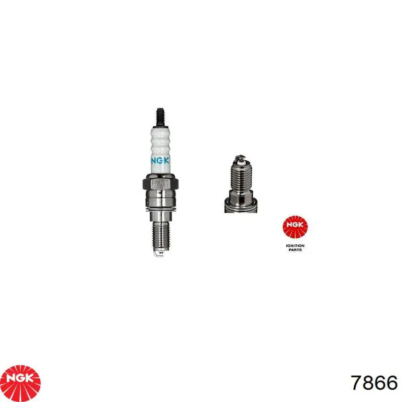 Compre 7866 NGK Vela de ignição