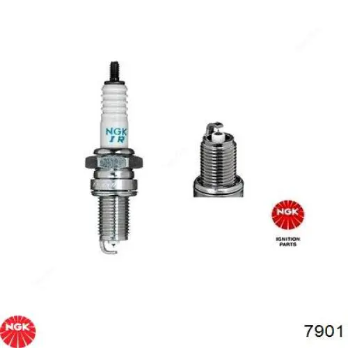 Vela de ignição NGK 7901 preço, a partir de 11,03 USD