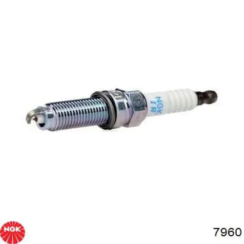 Vela de ignição NGK 7960 preço, a partir de 8,00 USD