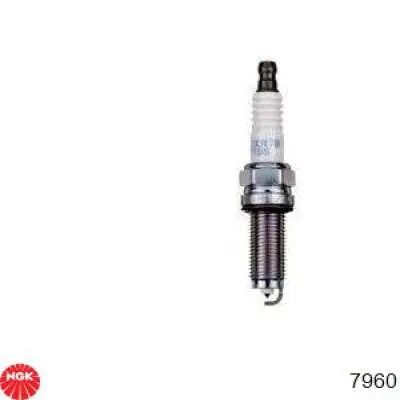 Compre 7960 NGK Vela de ignição