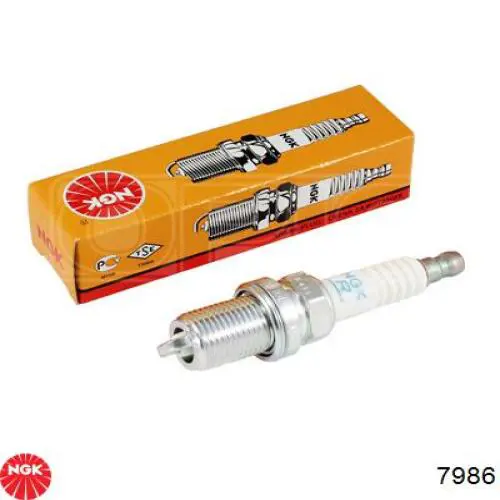 7986 NGK Vela de ignição