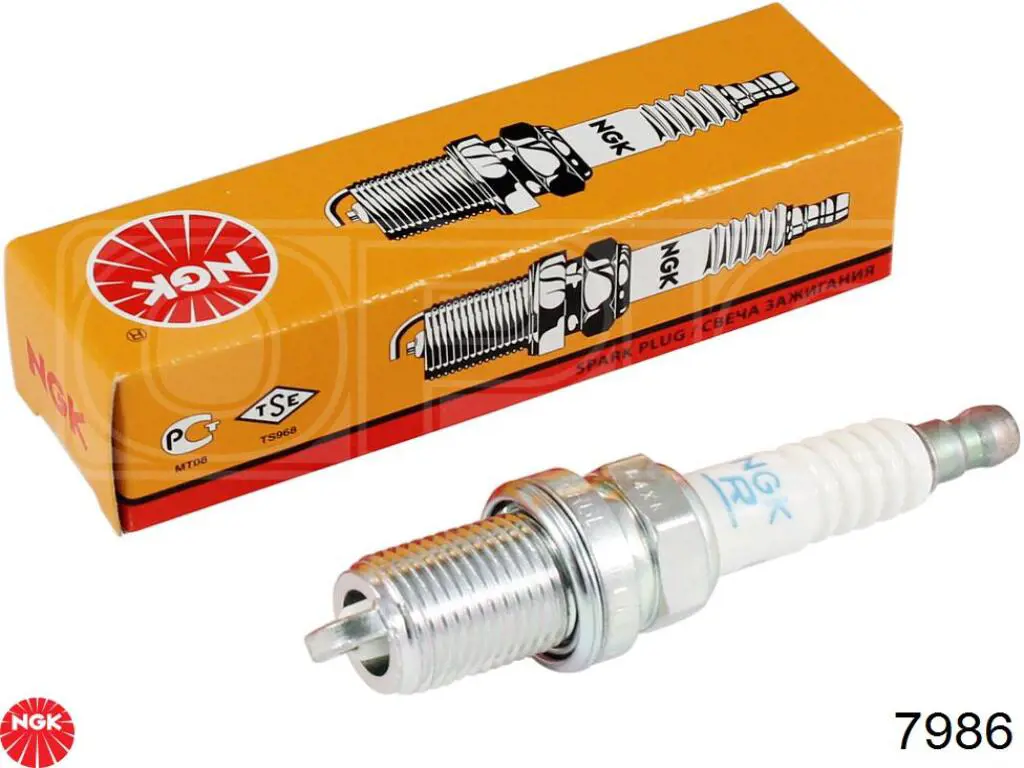 Compre 7986 NGK Vela de ignição