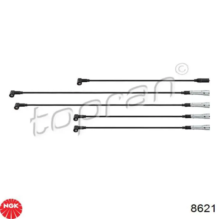 Compre 8621 NGK Fios de alta voltagem, kit