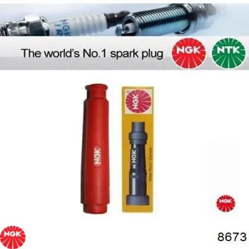 8673 NGK 
