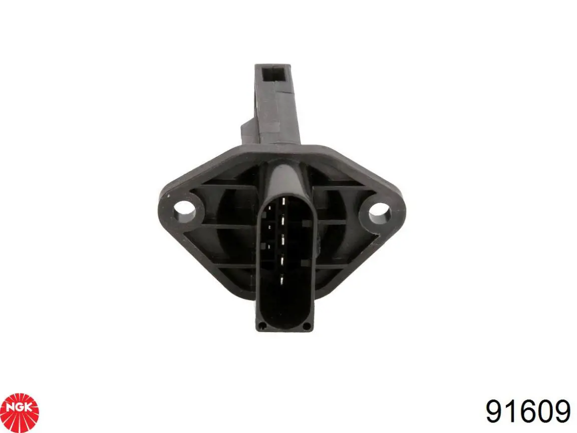 NGK 91609