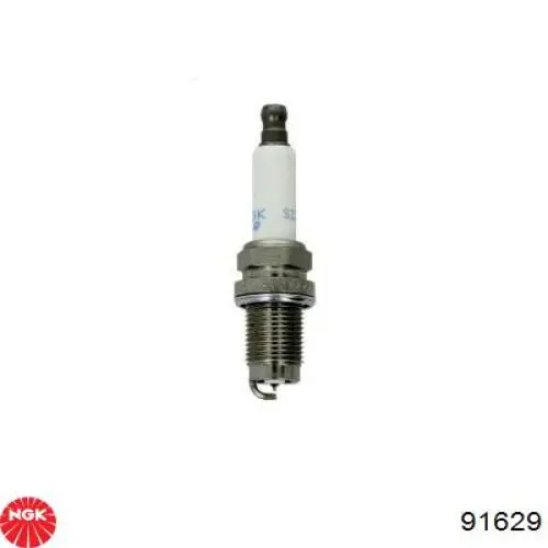 Compre 91629 NGK Vela de ignição