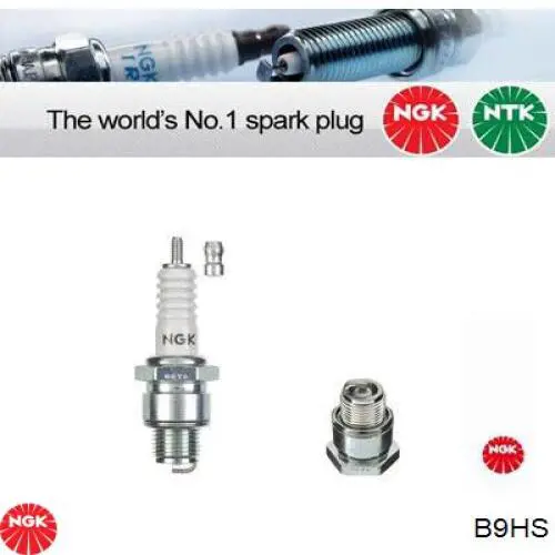 Compre B9HS NGK Vela de ignição