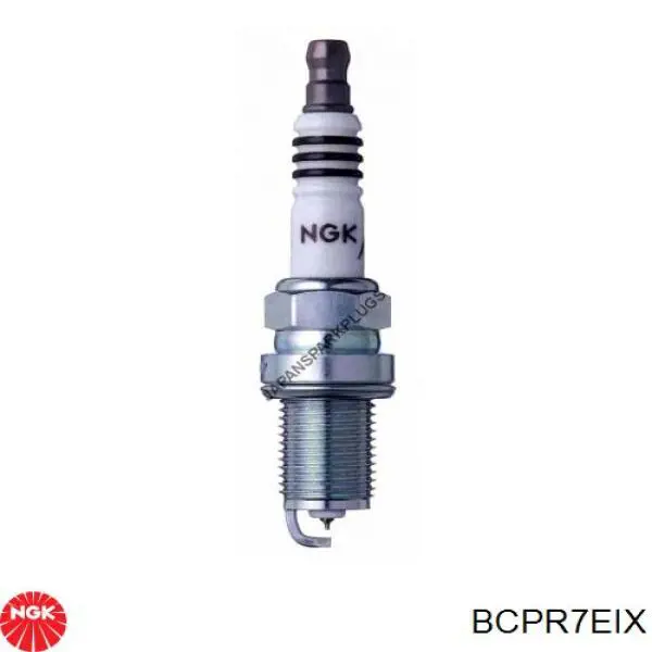 BCPR7EIX NGK Vela de ignição