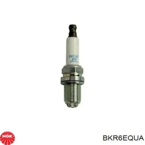 BKR6EQUA NGK Vela de ignição