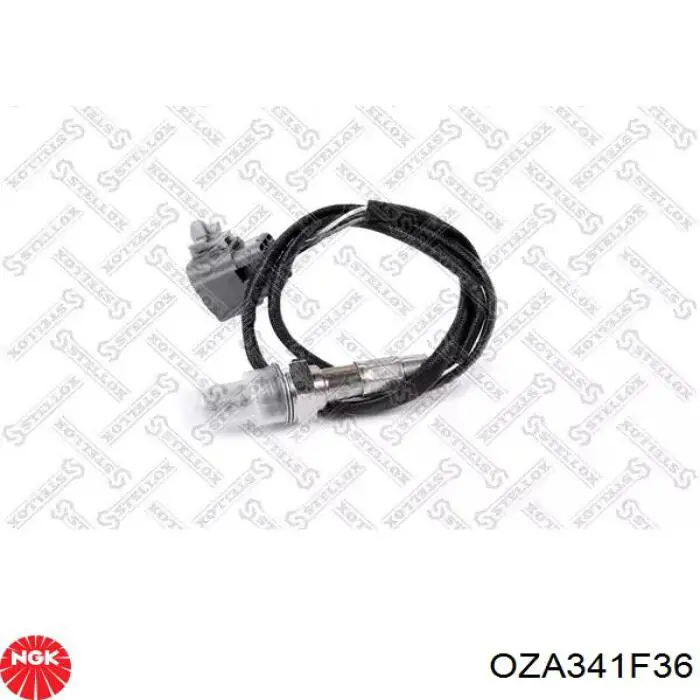 Compre 97912 NGK 