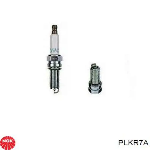 PLKR7A NGK Vela de ignição
