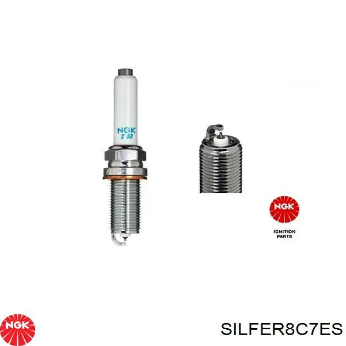 SILFER8C7ES NGK Vela de ignição