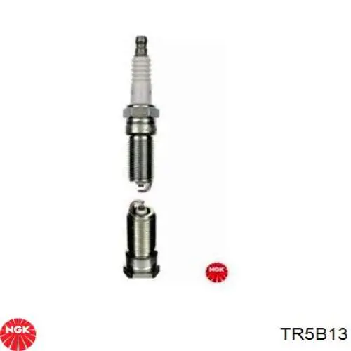 Vela de ignição TR5B13 NGK