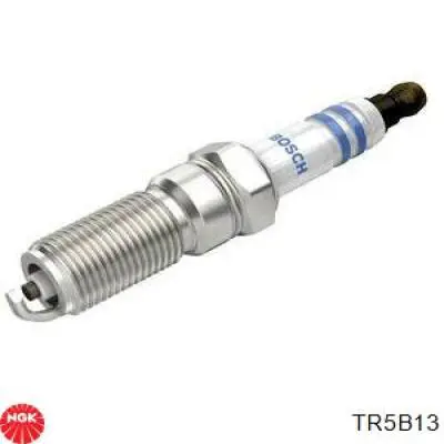 Compre TR5B13 NGK Vela de ignição