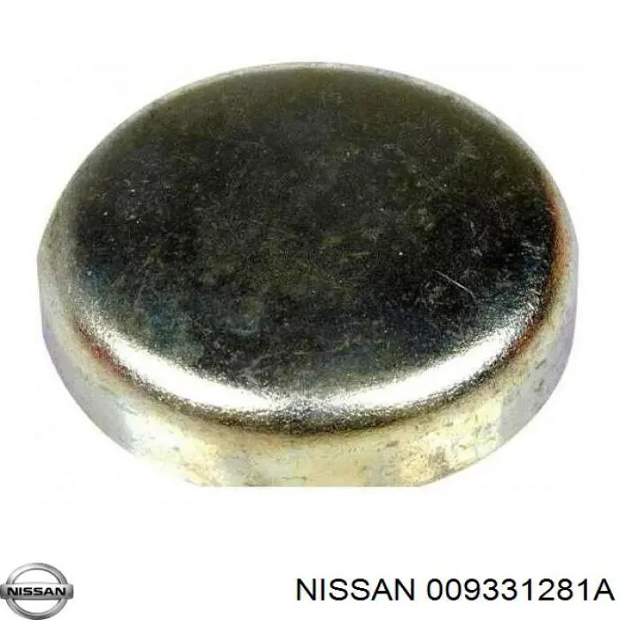 009331281A Nissan/Infiniti 
