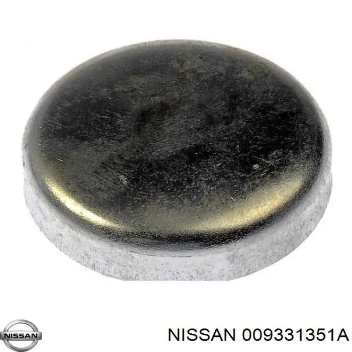 009331351A Nissan/Infiniti 