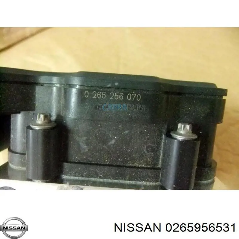 Nissan/Infiniti 0265956531