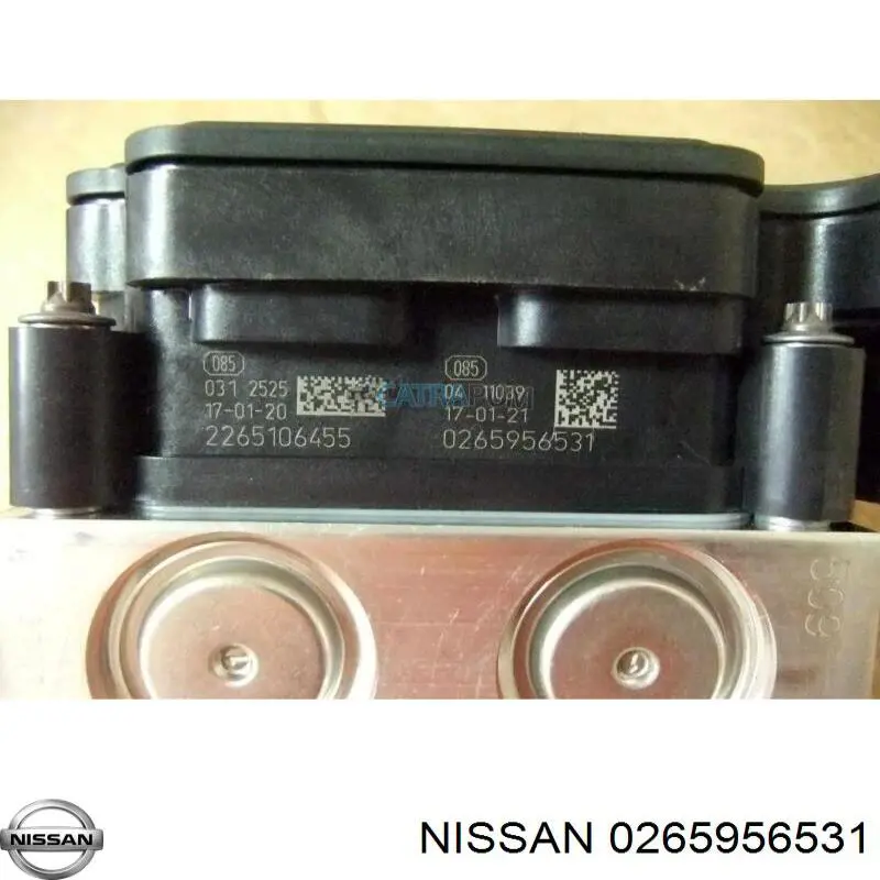 0265956531 Nissan/Infiniti 