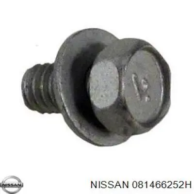 081466252H Nissan/Infiniti 