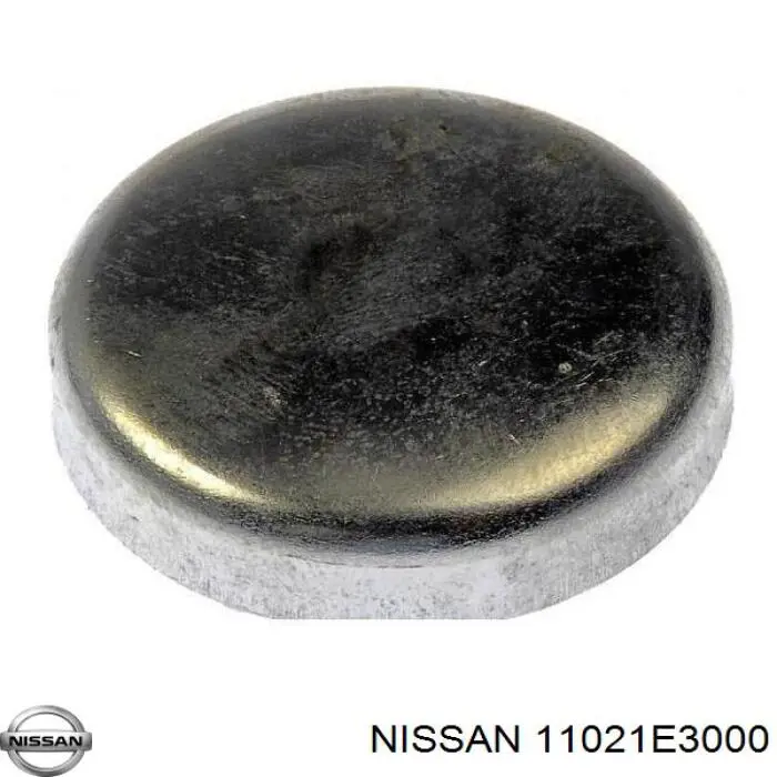 11021E3000 Nissan/Infiniti 